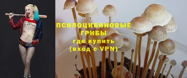 прущая мука Елабуга
