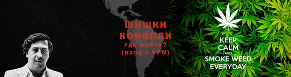 spice Ельня