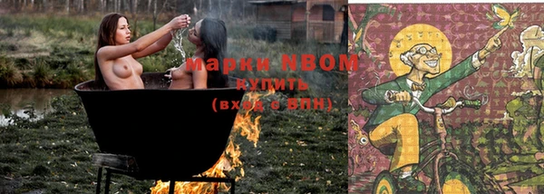 spice Ельня