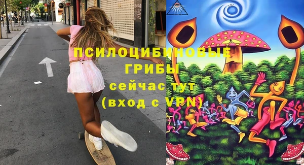 мдма Елизово