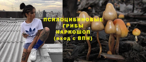 шишки Корсаков
