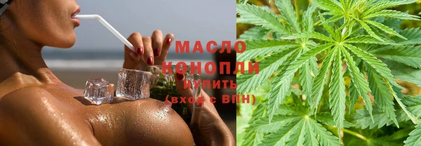 spice Ельня