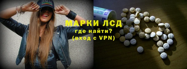 spice Ельня