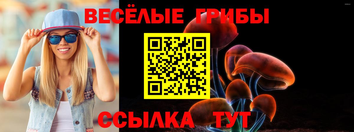 Псилоцибиновые грибы Magic Shrooms  закладка  Ивантеевка  Вход с VPN 